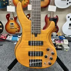 美品 5弦ベース コルト CORT GB75アクティブ ギグバッグ ケース付き 美品 5弦ベース コルト CORT GB75アクティブ ギグバッグ ケース