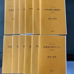 鉄緑会　新高3数Ⅲ内部B　全回分コンプリート　Ｂ4　李先生　駿台　河合塾　東進 鉄緑会 新高3数Ⅲ内部B 全回分コンプリート B4 李先生 駿台