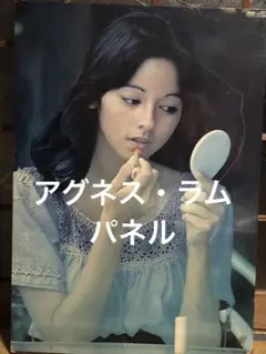 結構美の迫力あります！ハワイの女神アグネス・ラム希少パネル妖艶お