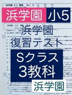 鉄緑会　新高3数Ⅲ内部B　全回分コンプリート　Ｂ4　李先生　駿台　河合塾　東進 鉄緑会新高3数Ⅲ内部B全回分コンプリートB4李先生駿台河合塾東進