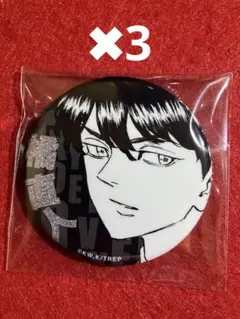 橘真琴 激推し 缶バッジ Free! 激推し缶バッジ 神推し シークレット ガチャガチャ 七瀬遙