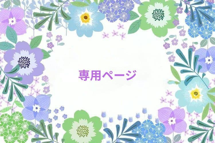 訳あり】押し花 ノースポール O-097 押し花ノースポール50枚訳あり