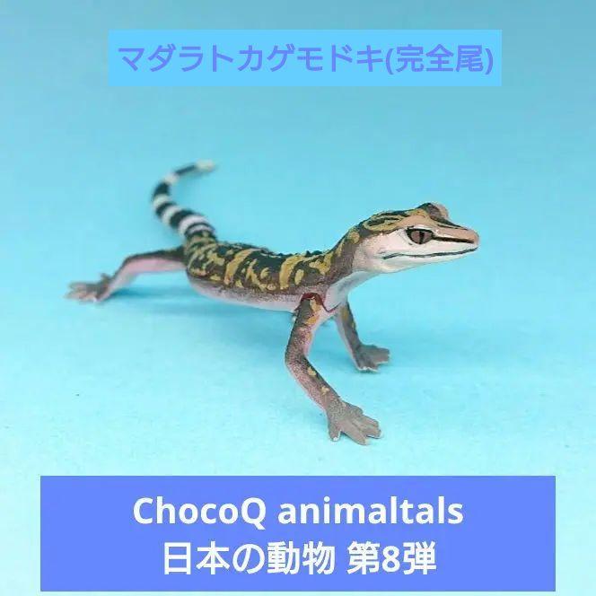 チョコエッグ／日本の動物 第３弾 5点 Amazon | チョコエッグ 日本の動物 第3弾 049 アカメ 未使用
