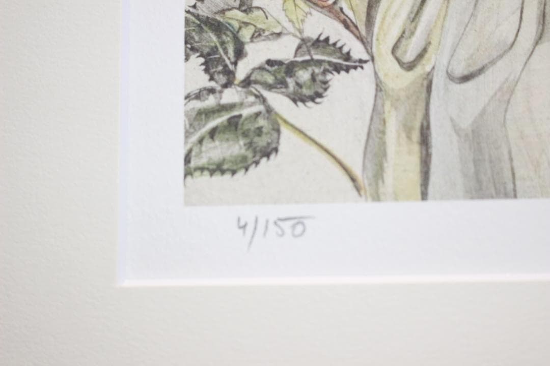 JChere 美露可利 mercari代購：藤田嗣治 エスタンプリトグラフ バラと