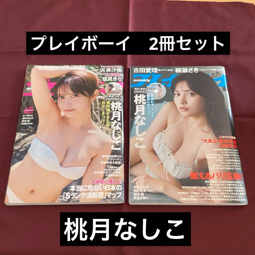 プレイボーイ　2冊セット 桃月なしこ