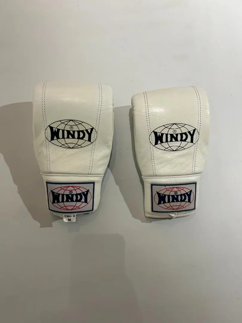 WINDY ボクシンググローブ ホワイトMサイズ