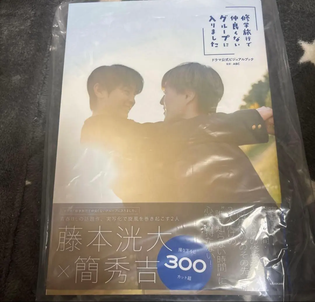 修学旅行で仲良くないグループに入りました ビジュアルブック