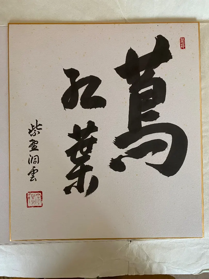 ¥8.000からお値下げ中　　　大徳寺【紫野洞雲(森洞雲)】 筆色紙
