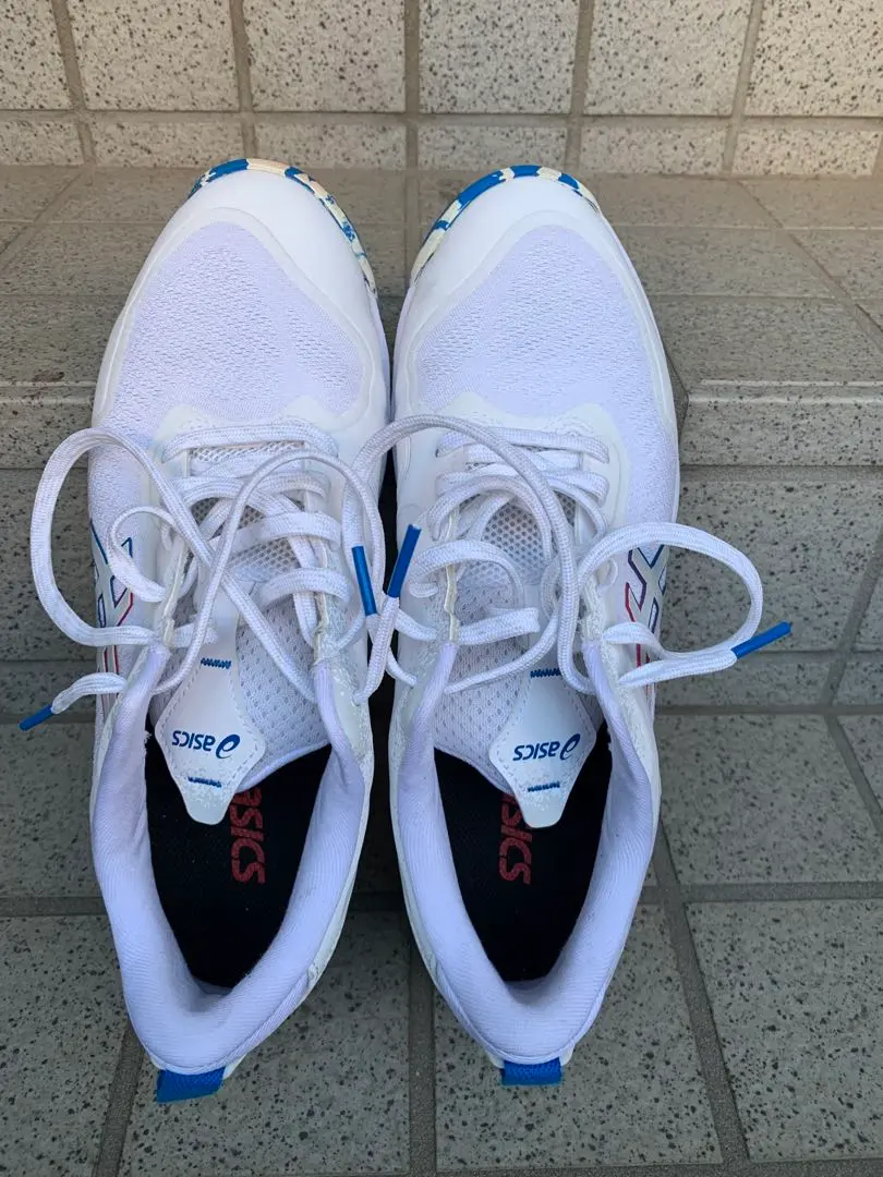 美品ASICSプレステージライト 5　オムニ・クレー26cm