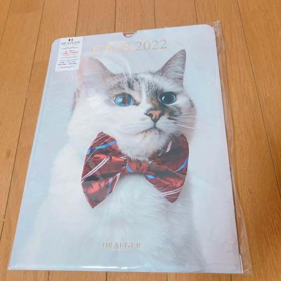 ドレジャー 2022年 ポスターカレンダー CATS（壁掛けタイプ）