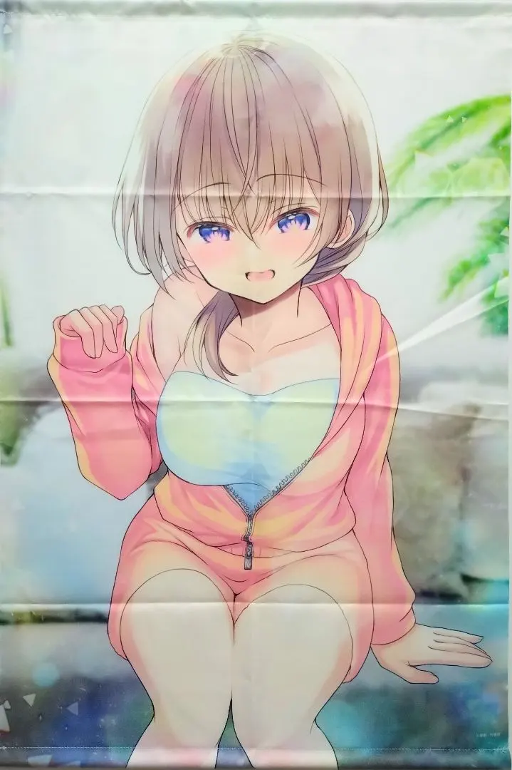 うちの会社の小さい先輩の話 片瀬詩織里 タペストリー