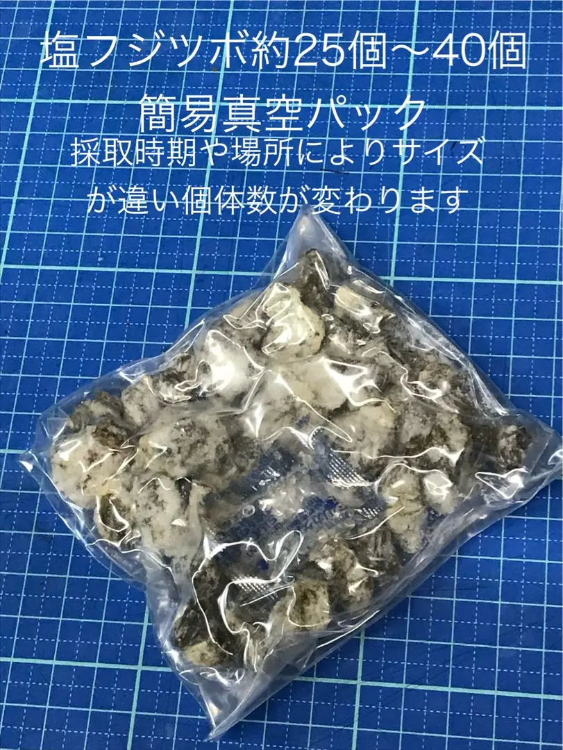 フジツボ塩漬　クロダイ釣り　ヘチ釣り　落とし込み