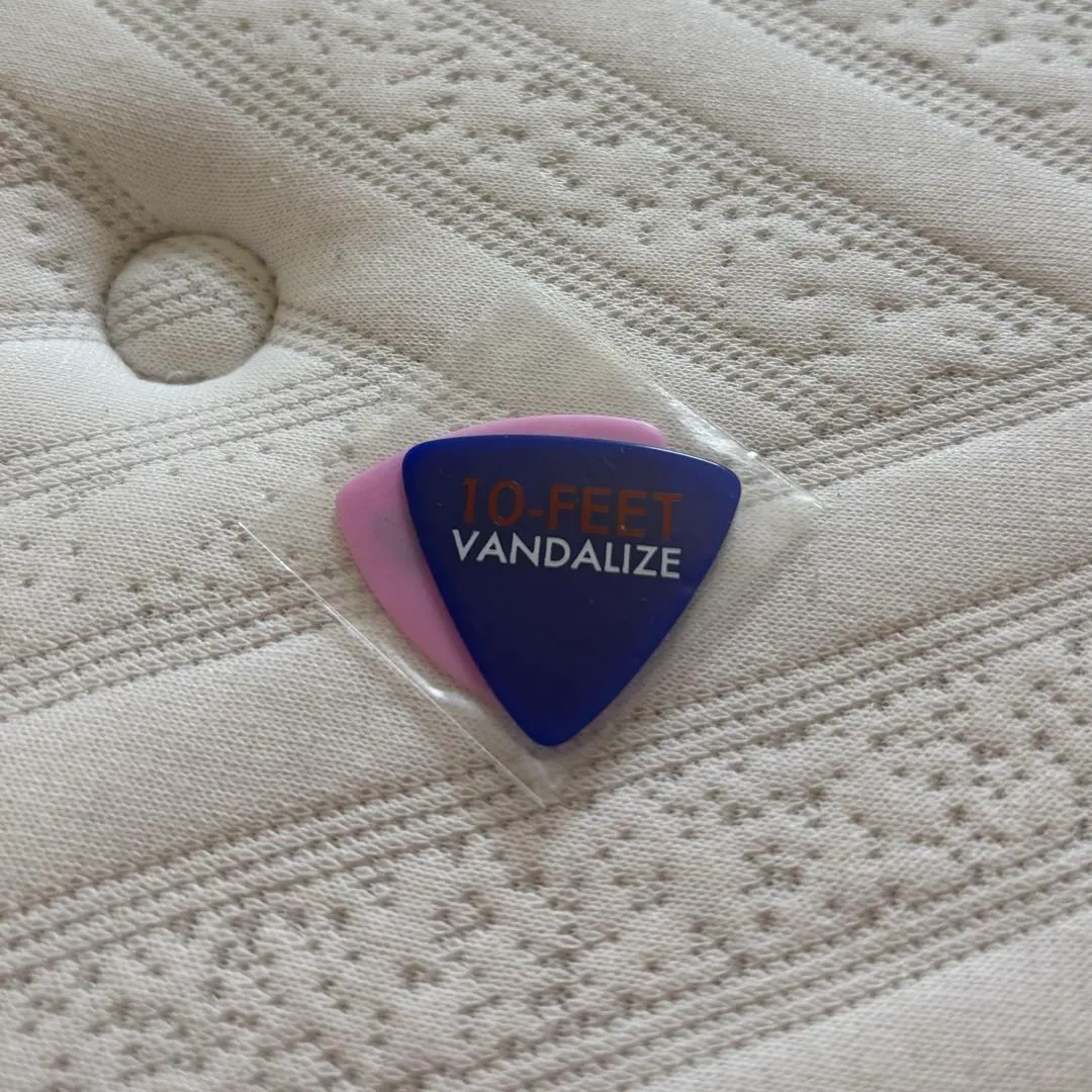 10-FEET ピック　2個セット