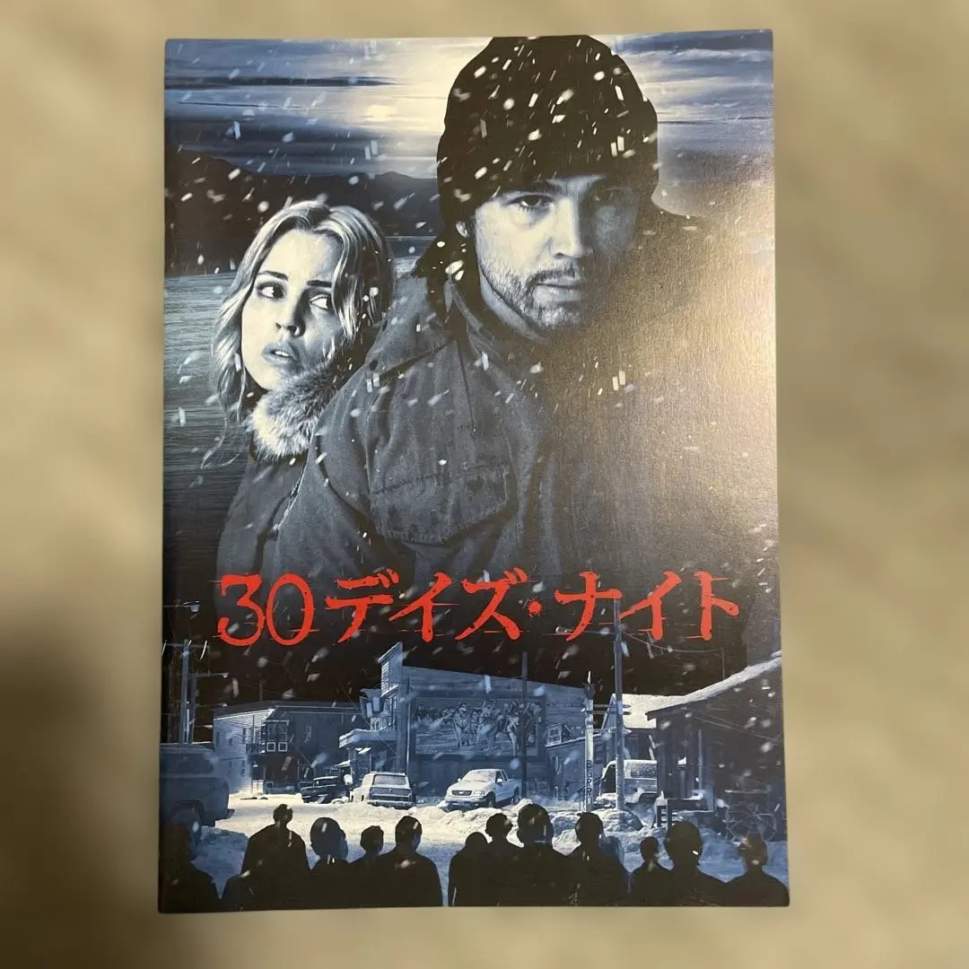３０デイズナイト　映画パンフレット【美品】