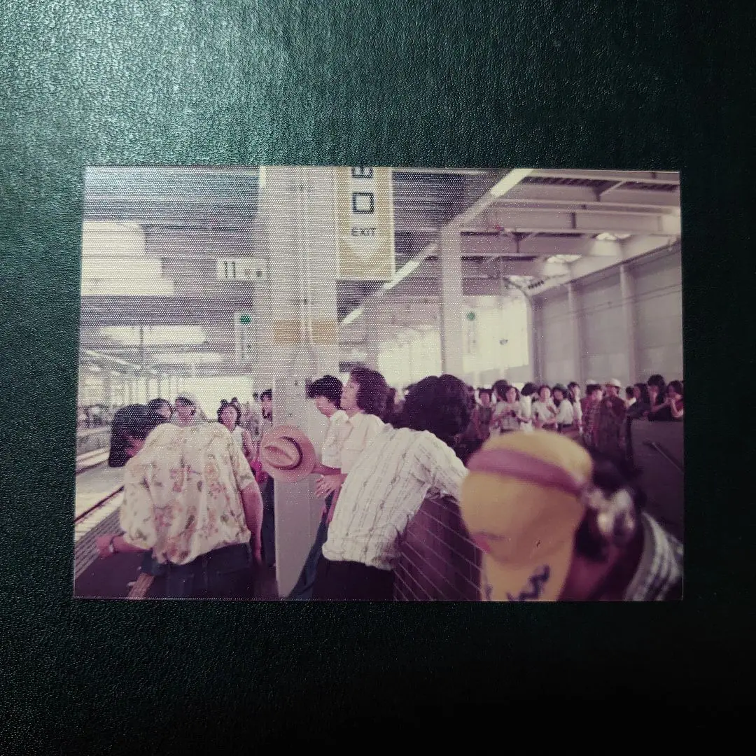 沢田研二 生写真