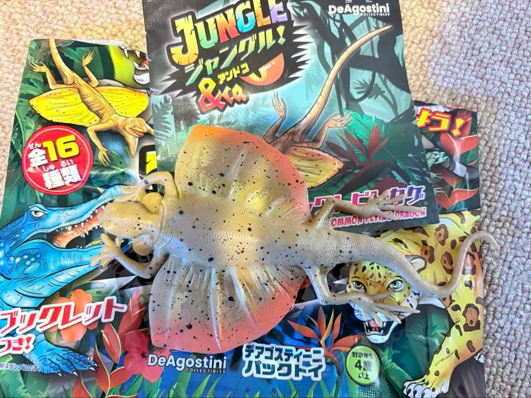 アンドコ ジャングル ジャワトビトカゲ