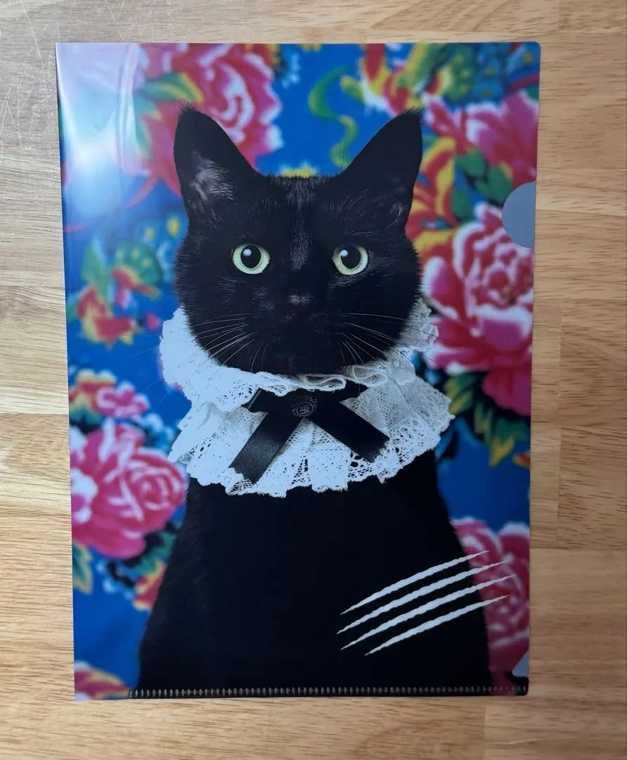 カカオキャット　クリアファイル