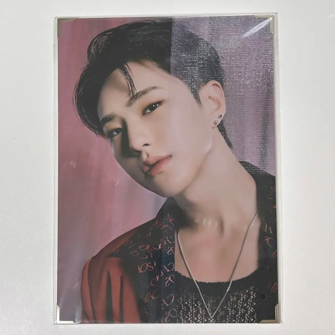 ホシ プレミアムフォト