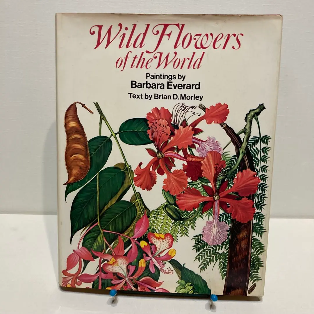 【洋書】Wild Flowers of the World～イラスト・英字解説本