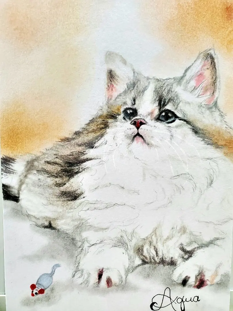 AQUA&癒し色鉛筆画「見上げる猫ちゃん」新作原画