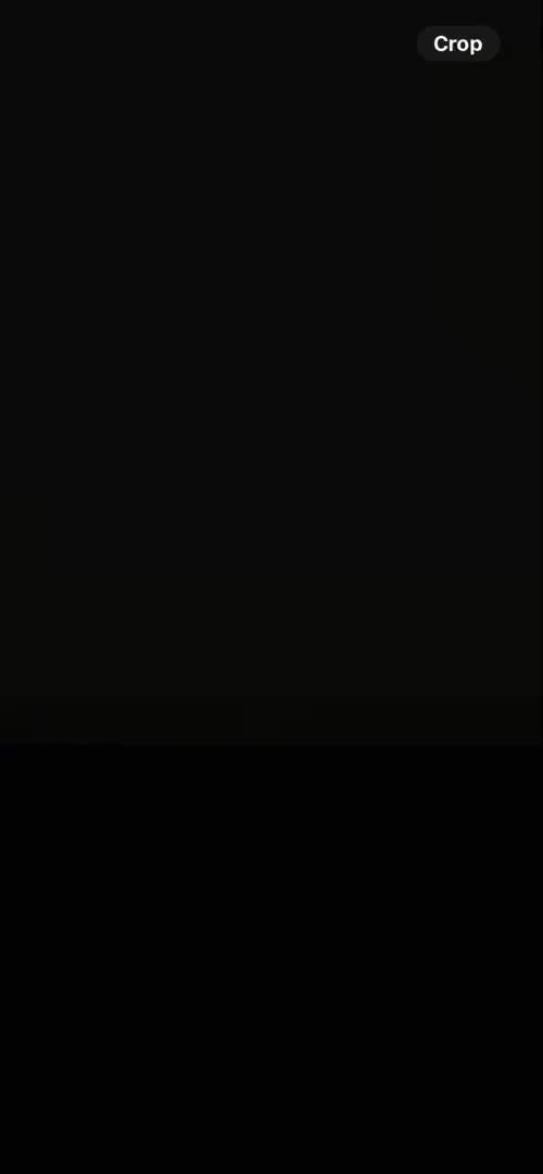 はろはろ様専用