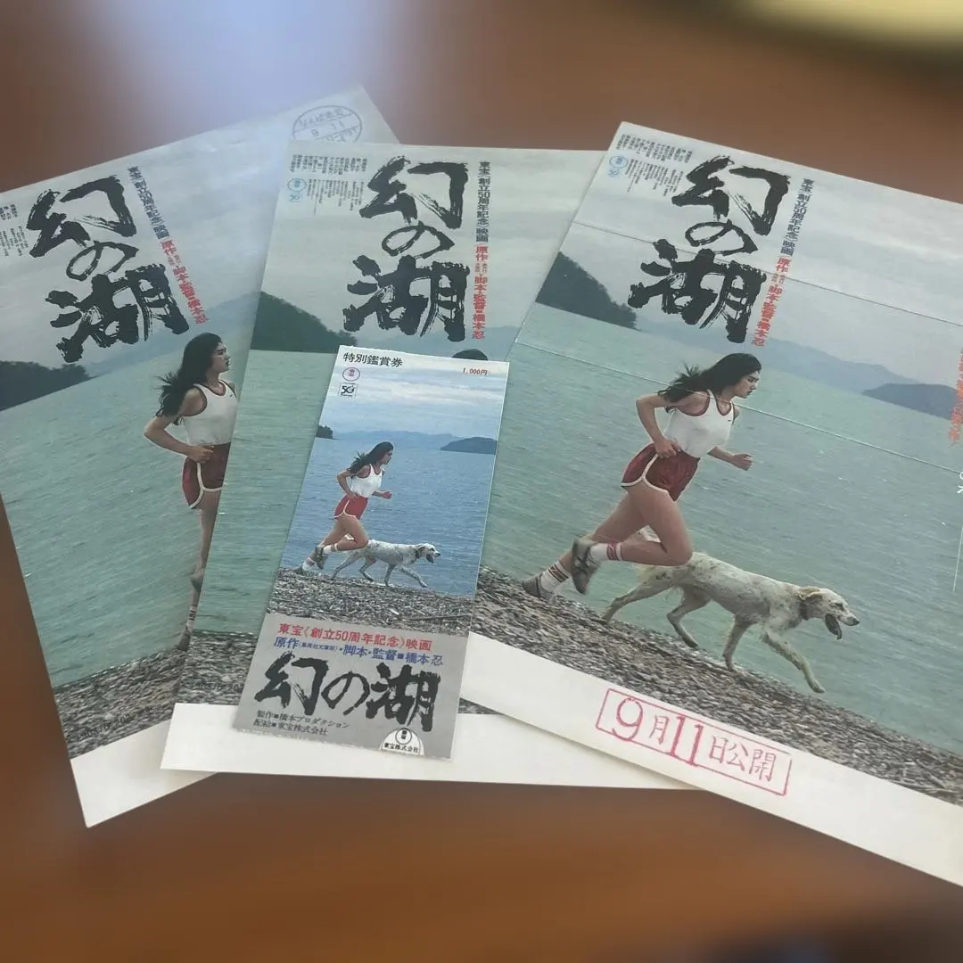 映画チケットとちらし3枚