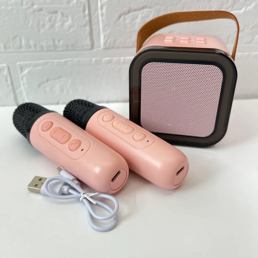 ✨新品未使用✨　ホームカラオケ　パーティ　ポータブル　カラオケ　マイク2本付き