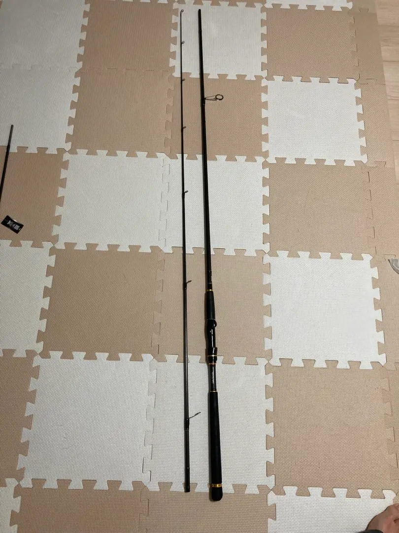 シーバスロッド ラテオ96m-Q ダイワ