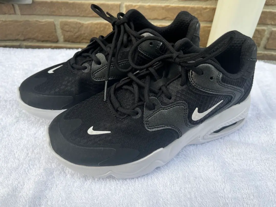 Nike Air Max ブラック/グレー スニーカー
