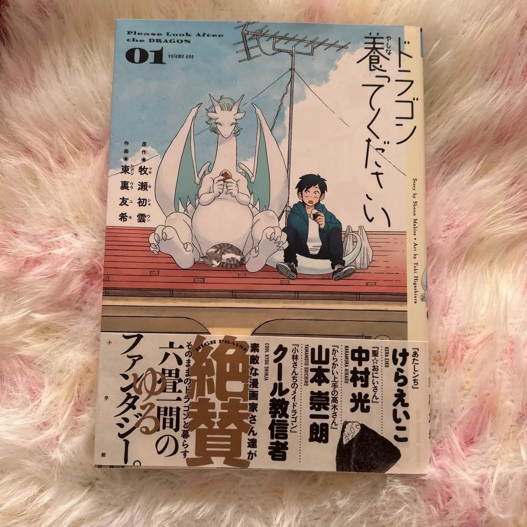 ドラゴン養ってください = Please Look After the DRA…