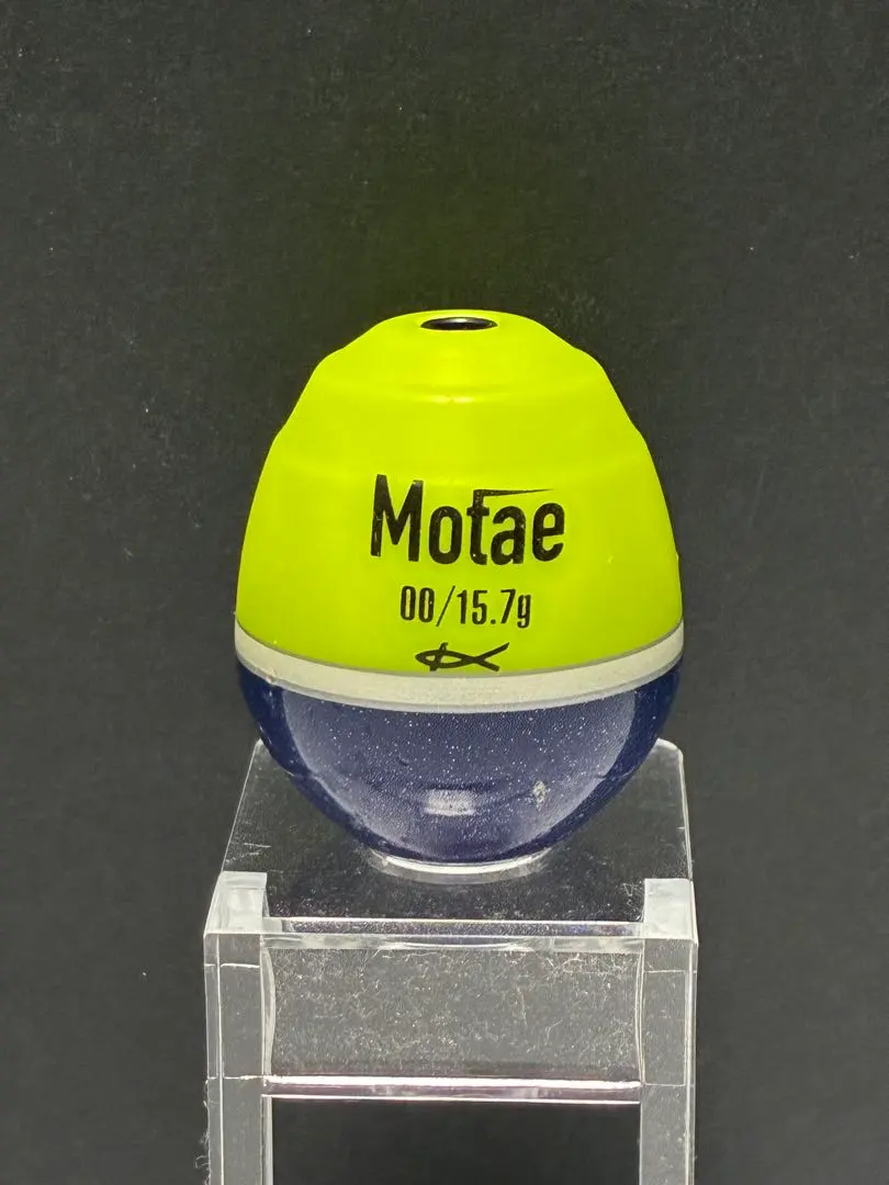 ウキのキザクラ　Motae