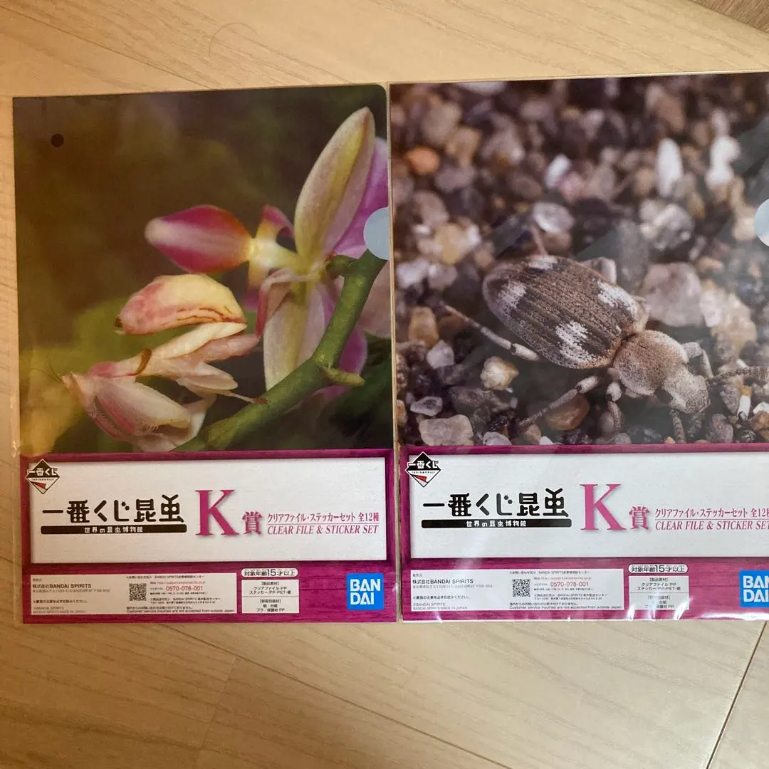 1番くじ昆虫クリアファイル&ステッカーセット