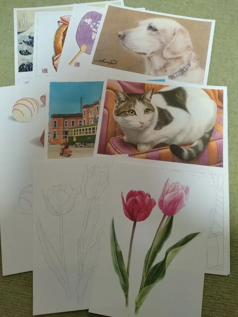 おとなの塗り絵　明治安田生命