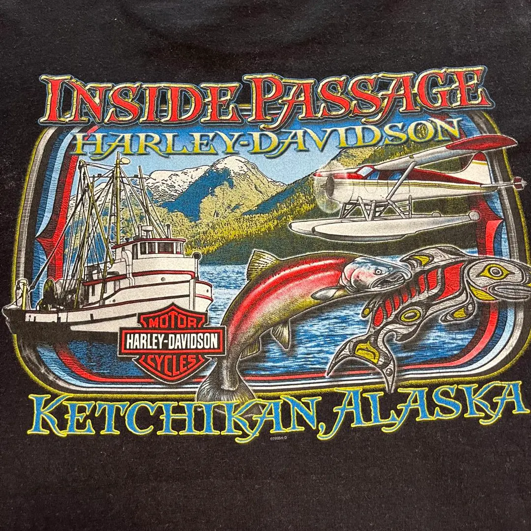 00s ハーレーダビッドソンtシャツ USA製 ブラック XL 両面プリント