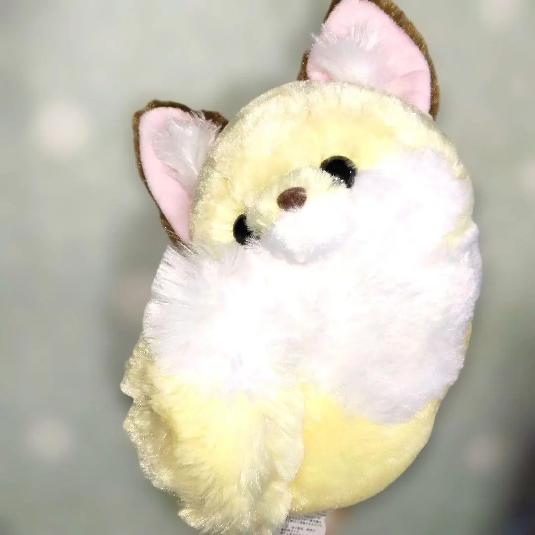 ちょコンとキツネ こんぺいとう