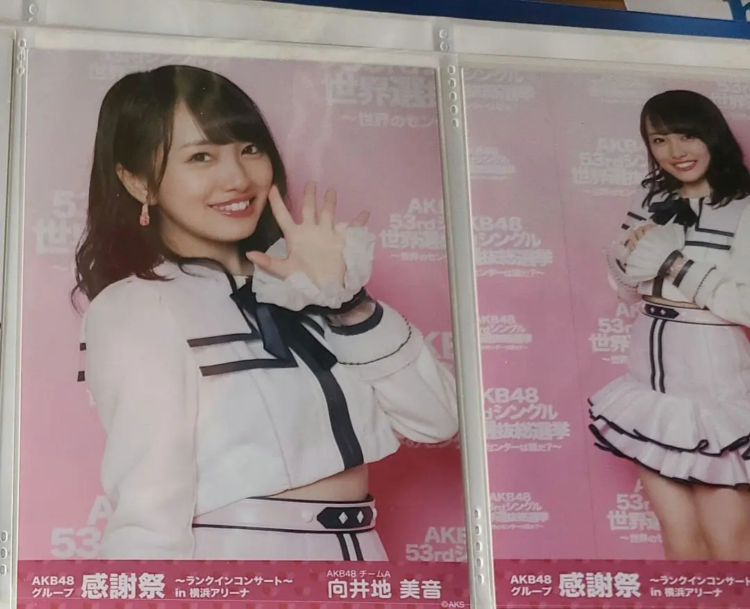 向井地美音