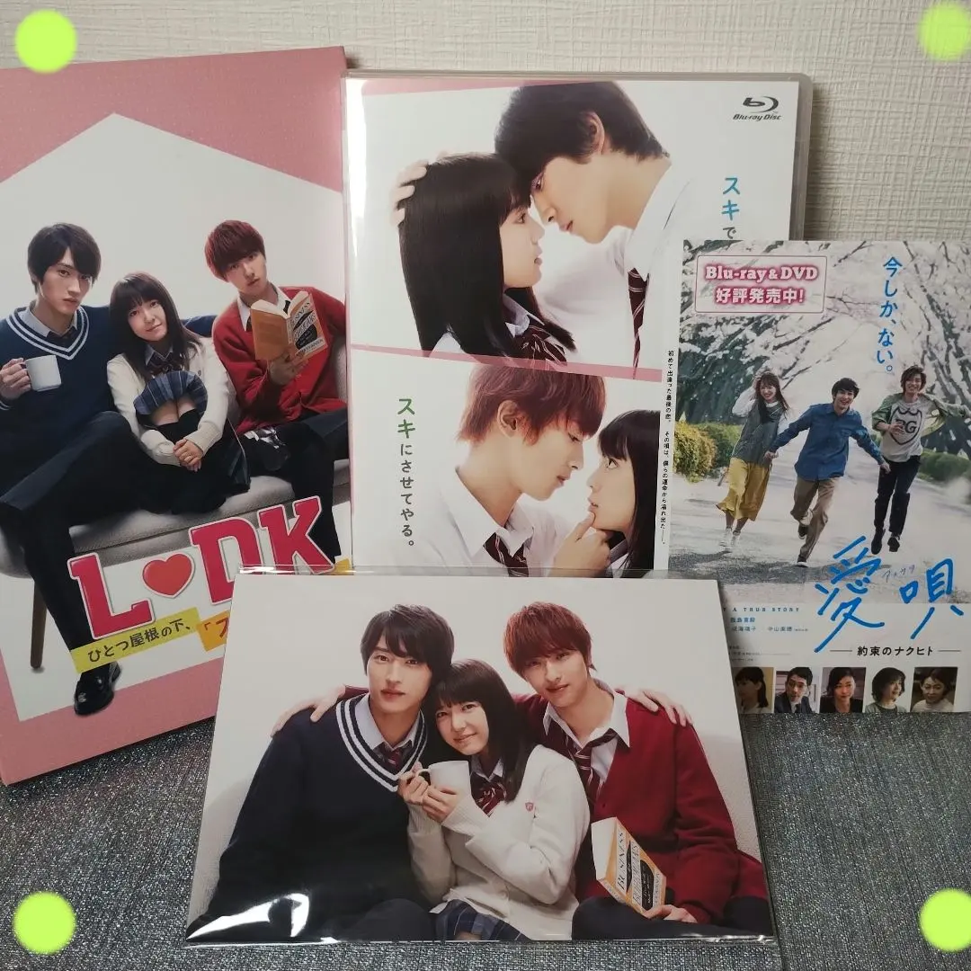 映画「L♡DK ひとつ屋根の下、　　『スキ』がふたつ。」DVD2枚組