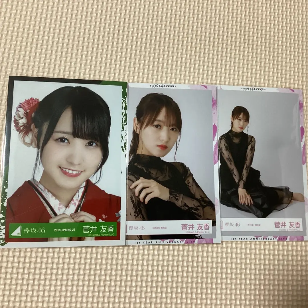 櫻坂46 欅坂46 生写真 菅井友香