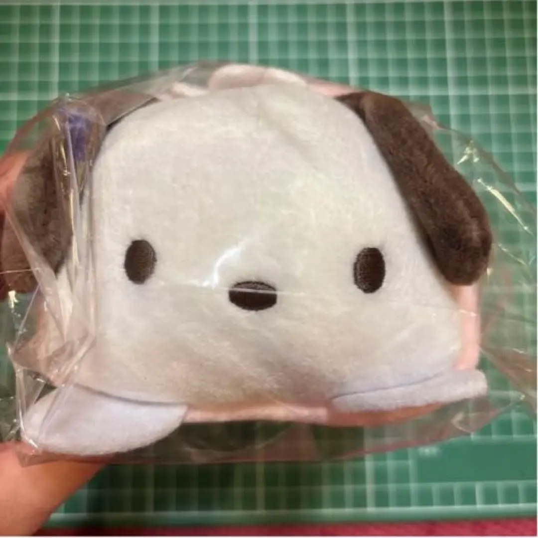 ポチャッコ ポーチ 小物入れ サンリオ 未使用