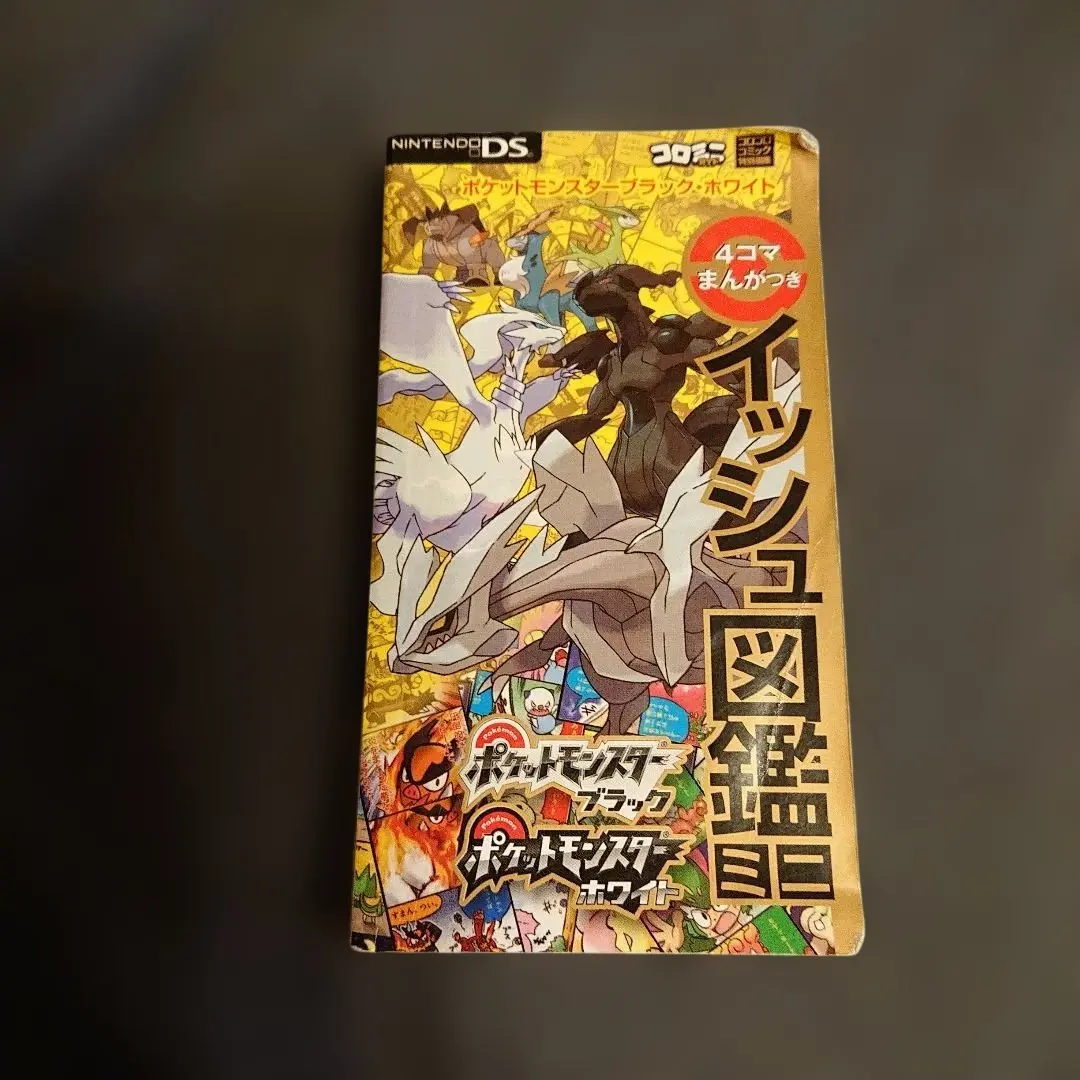 ポケットモンスター ブラック・ホワイト イッシュ図鑑 希少 平成レトロ