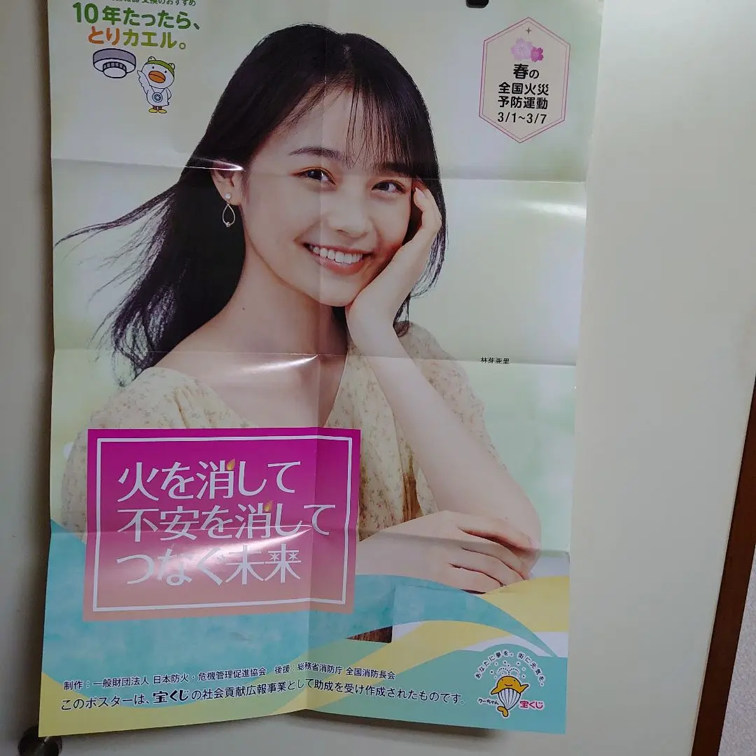 林 芽亜里　ポスター