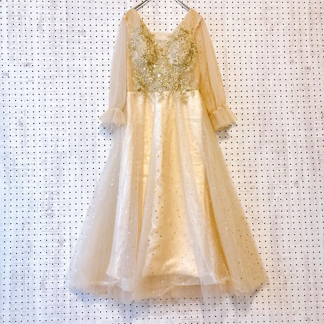 シアー ラメ刺繍ドレス 星柄 チュール ロング丈 背中編上げ 舞台衣装 発表会