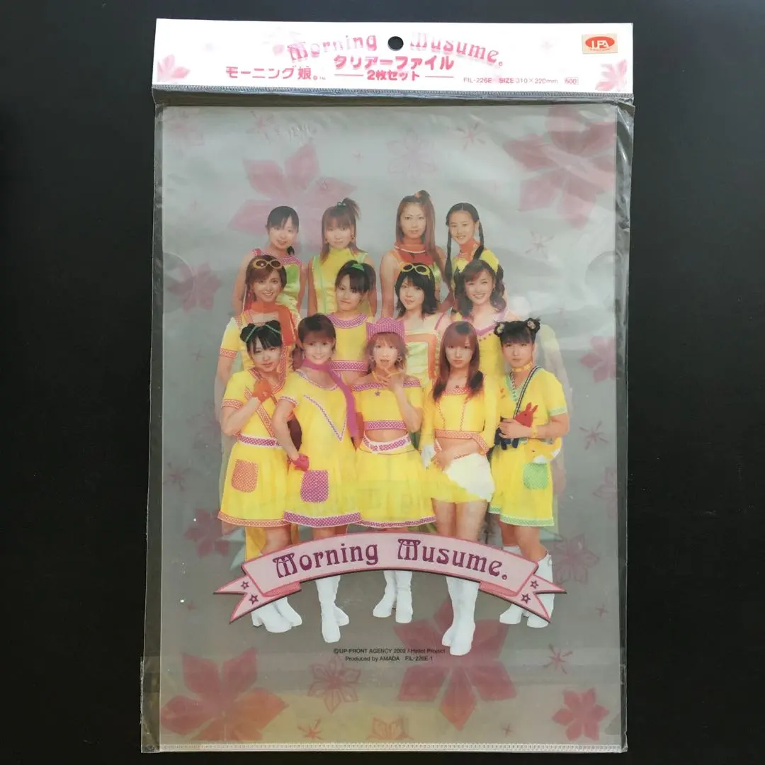 モーニング娘。 A4クリアファイル 2枚入 2002