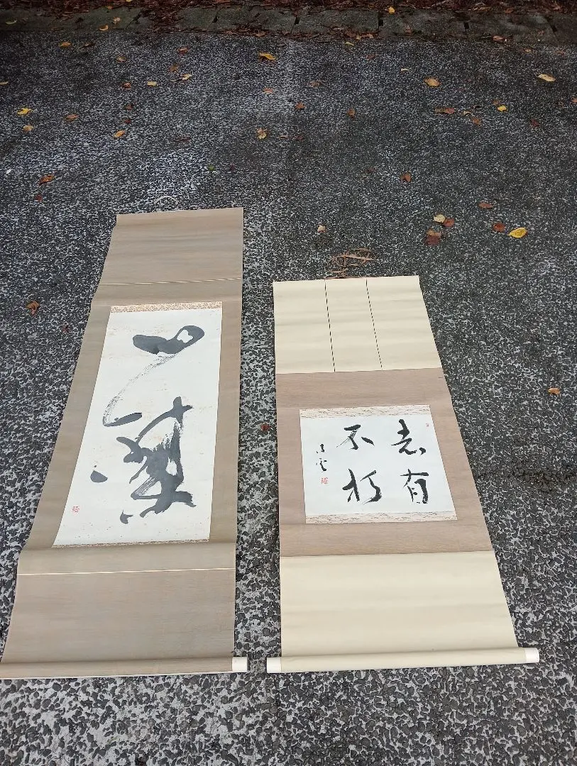 有井凌雲、掛軸 紙本 書、茶掛、茶道、書道　　真筆