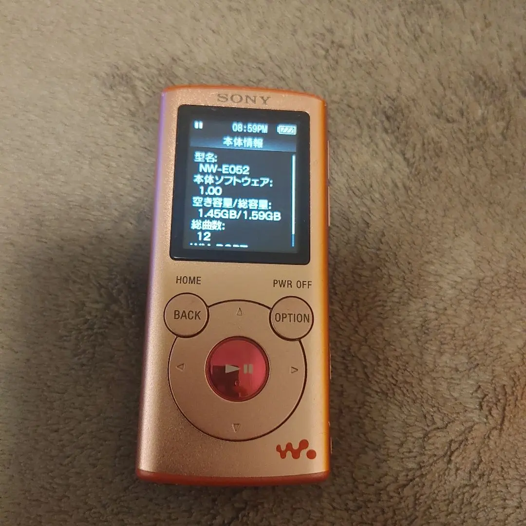 SONY WalkmanウォークマンNW-E052 2GB 動作確認済