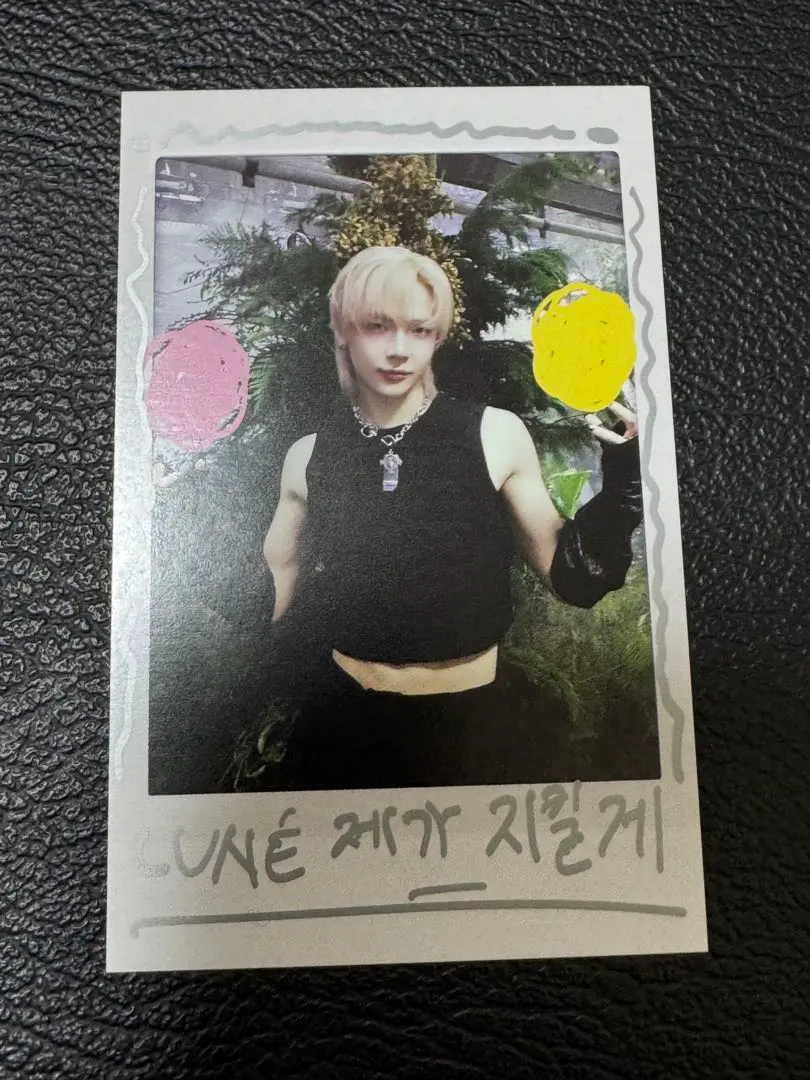 &TEAM NICHOLAS インスタントフォトカード　WA ver.