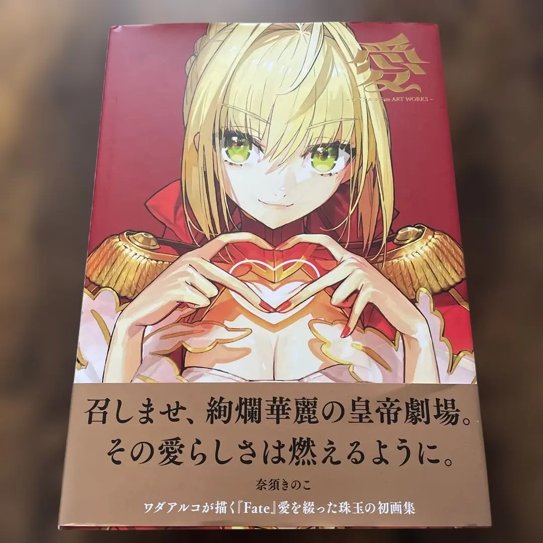 愛 ワダアルコ Fate ART WORKS 画集