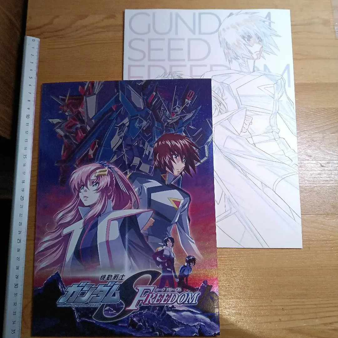 機動戦士ガンダムSEEDフリーダム　映画パンフレット・絵コンテ集