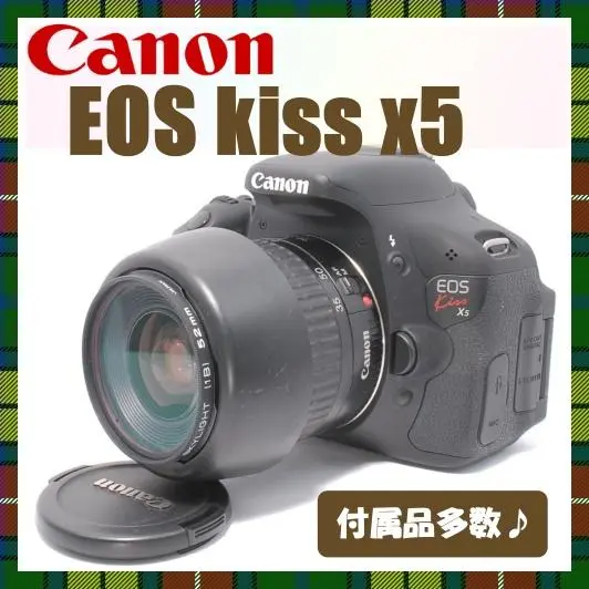 ✨美品✨付属品充実✨Canon EOS Kiss X5 　ショット数少なめ