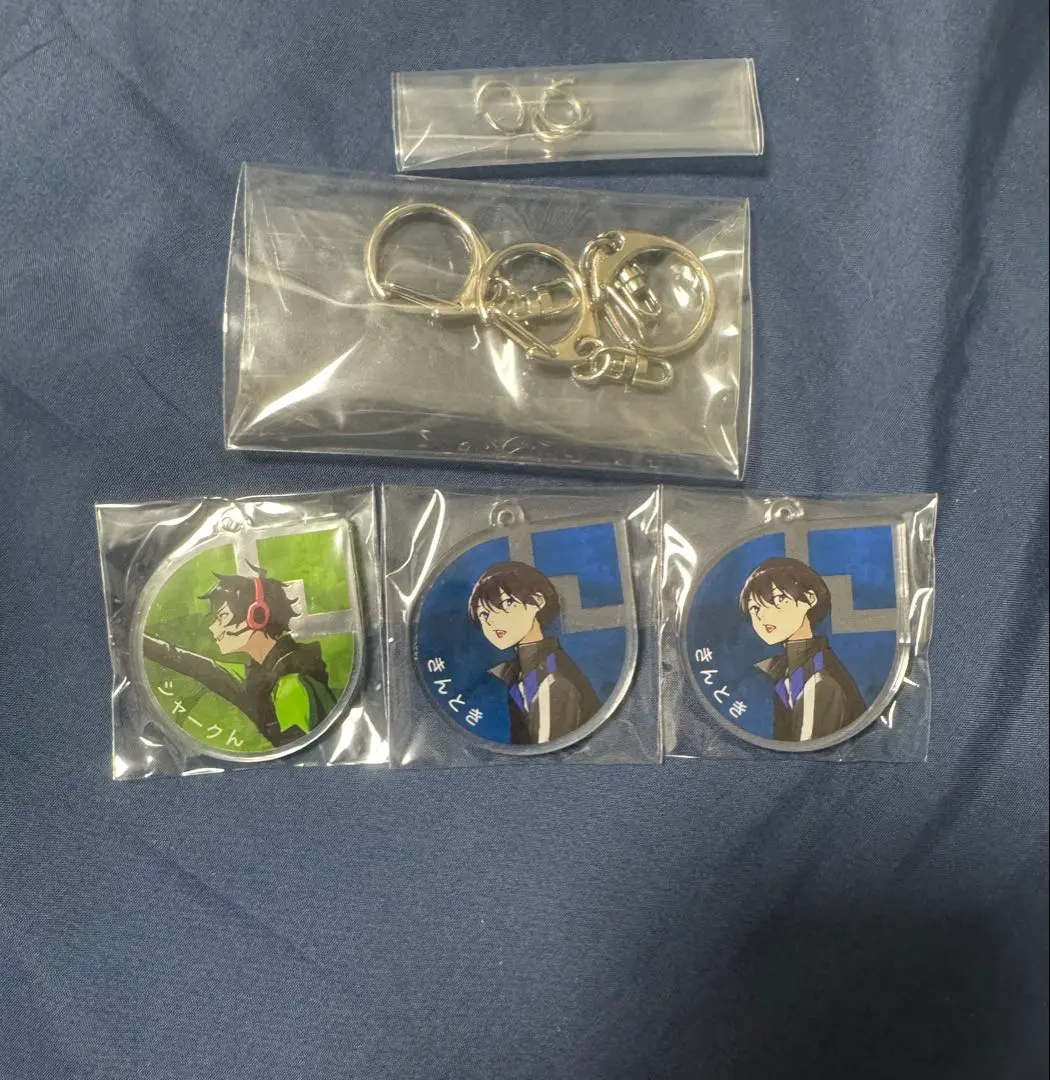 ワイテルズ アクキー　シャークん　きんとき　白尾博物館